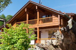 Chalet zum Salamander